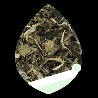 Herbata Biała Teaverso China Pai Mu Tan 50g