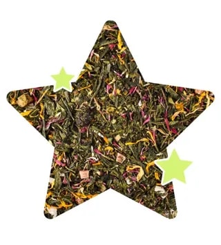 Zimowa Herbata Zielona Teaverso Papago 100g