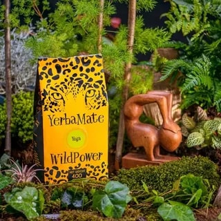 WildPower Yoga 400g