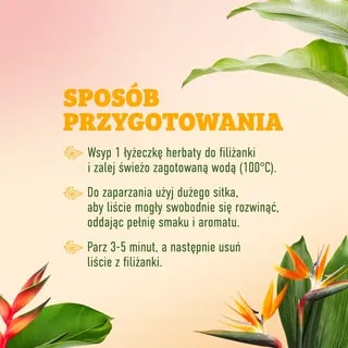 Adalbert's Tea - Jagody i Czarne Porzeczki DOBROSTAN - Liściasta 80g