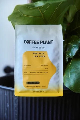 Coffee Plant Brazylia Lua Roxa Espresso 250g