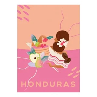 HAUSBRANDT - HONDURAS SINGLE ORIGIN - KAWA ZIARNISTA 250G