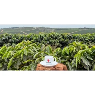 HAUSBRANDT - HONDURAS SINGLE ORIGIN - KAWA ZIARNISTA 250G