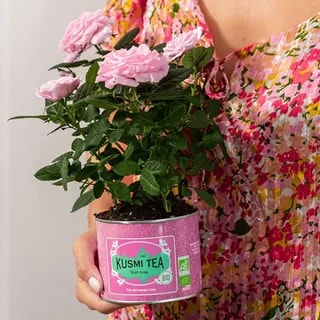 Kusmi Tea - Green Rose Bio - Herbata Sypana 100g
