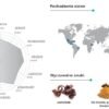KAWA MIELONA BAZZARA DODICIGRANCRU 250G - obrazek 4
