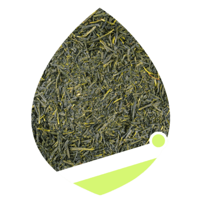 Herbata Zielona Teaverso Japan Sencha Miyazaki 100g - obrazek 7