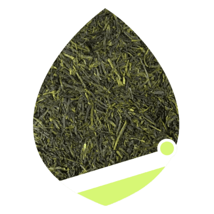 Herbata Zielona Teaverso Japan Sencha Fukujyu 100g - obrazek 7