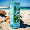 Coconaut Gazowana Woda Kokosowa z Młodego Kokosa 320 ml - obrazek 3