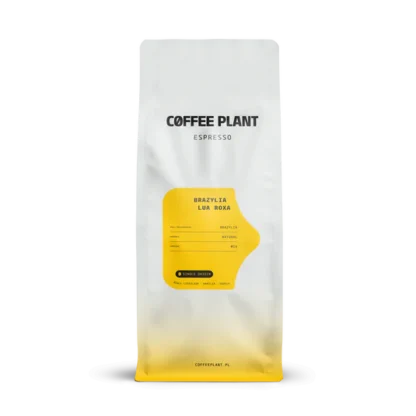 Coffee Plant Brazylia Lua Roxa 1kg