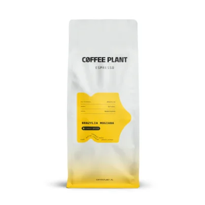 Coffee Plant Brazylia Mogiana 1kg