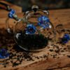 Herbata Czarna - Chabrowy Poranek - Tea Selection 50g - obrazek 16