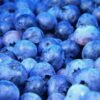 Syrop FruttaMax BORÓWKA LIGHT na 12 litrów - obrazek 4