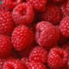 Syrop FruttaMax MALINA 500 ml na 12 litrów - obrazek 4