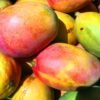 Syrop FruttaMax MANGO 500 ml na 12 litrów - obrazek 4