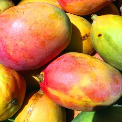 Syrop FruttaMax MANGO 500 ml na 12 litrów - obrazek 4