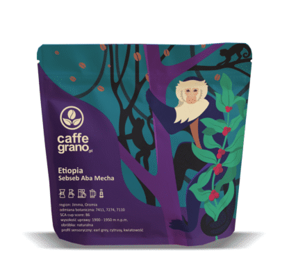 Caffe Grano Etiopia Sebseb Aba Mecha Natural Filter 250g