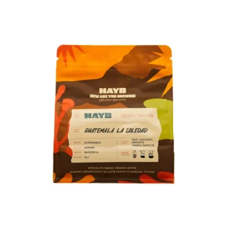 Hayb Guatemala La Soledad Washed Filter 250g